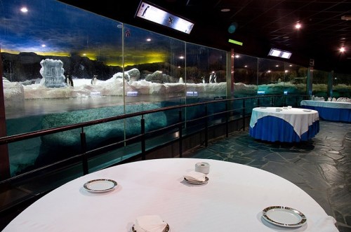 Встреча Нового Года в Парке Фауния Faunia в Мадриде для детей и взрослых Встреча Нового Года в Парке Фауния Faunia в Мадриде для детей и взрослых