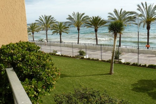 Вилла Марбелья Marbella 1-я линия моря 310 м2 , большой участок 2100 м2 Marbella Villa Rent