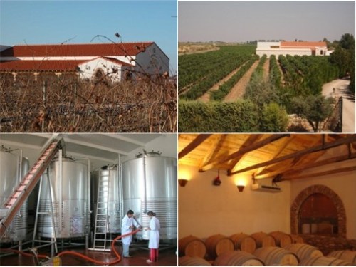 Винодельческие экскурсии (туры) в Испании – Винные экскурсии (туры) из Мадрида, Толедо Toledo – Вина и Бодеги Bodegas Кастилья ла Манча Castilla La Mancha 