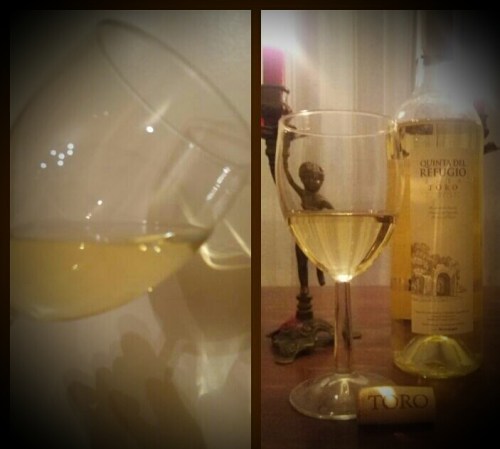 Дегустация вина в Испании, вино зоны Д.О. Торо D.O. Toro, Мадрид Испания.