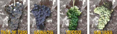 Дегустация вина в Испании, вино зоны Д.О. Торо D.O. Toro, Мадрид Испания.