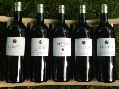 Дегустация вина в Испании, вина Д.О. Рибера дель Дуэро D.O. Ribera del Duero , Мадрид Испания.