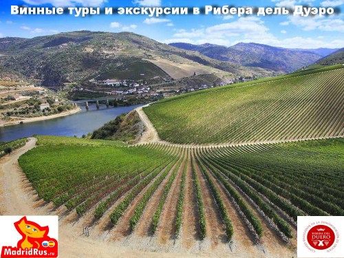 Дегустация вина в Испании, вина Д.О. Рибера дель Дуэро D.O. Ribera del Duero , Мадрид Испания.