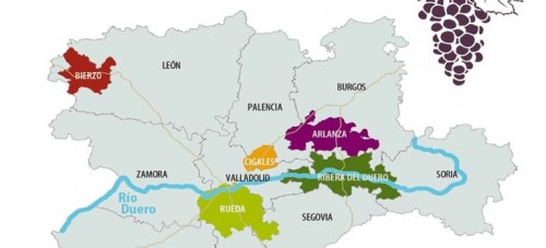 Дегустация вина в Испании, вина Д.О. Рибера дель Дуэро D.O. Ribera del Duero , Мадрид Испания.