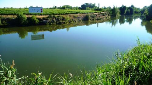 Дегустация вина в Испании, вина Д.О. Рибера дель Дуэро D.O. Ribera del Duero , Мадрид Испания.