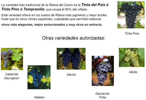 Дегустация вина в Испании, вина Д.О. Рибера дель Дуэро D.O. Ribera del Duero , Мадрид Испания.