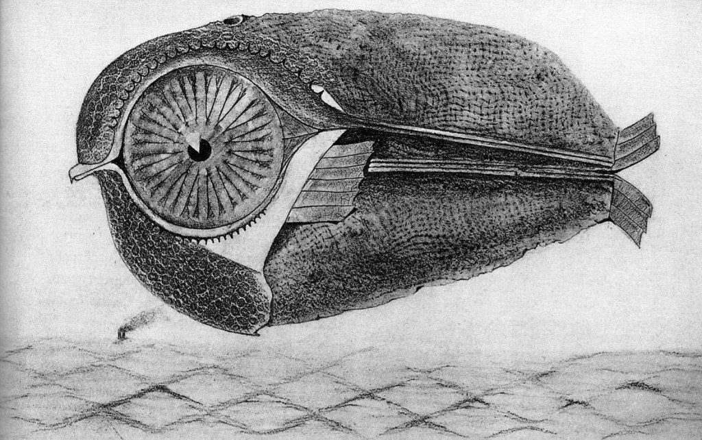 Выставка Макса Эрнста Max Ernst в Мадриде.